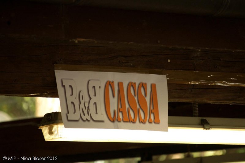 2012-07-01 B & B - Bedlington & Bichon Fun Day (298)_1500x1000.jpg